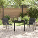 Have Spisebordssæt med pude 3 pcs Lysegrå polyrattan