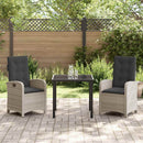 Have Spisebordssæt med pude 3 pcs Lysegrå polyrattan