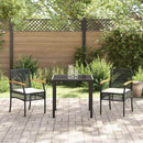 Have Spisebordssæt med pude 3 pcs Sort Rattan
