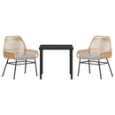 Have Spisebordssæt med pude 3 pcs Brun polyrattan