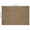 Områdetæpper Grå 200 x 290 cm Jute