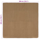 Område tæppe Lys Brun 300 x 300 cm Jute