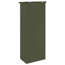Pakke drop boks med dør Olivengrøn 44,5 x 29 x 110,5 cm Stål