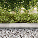 Plænekant 450 x 20 cm Galvaniseret stål Sølv