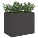 Have Blomsterkrukke Sort 50 x 32 x 40 cm Koldvalset stål