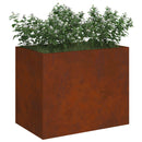 Have Blomsterkrukke Rusten 50 x 32 x 40 cm Cortenstål