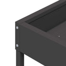 Fuglefoder Sort 80 x 28 x 13.5 cm Koldvalset Stål