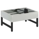 Fuglefoder Sølv 80 x 28 x 13.5 cm Galvaniseret stål
