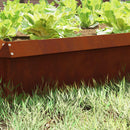 Sneglehegn 4 pcs Rusten 50 x 3,5 x 25 cm Cortenstål