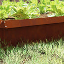 Sneglehegn 4 pcs Rusten 100 x 3,5 x 25 cm Cortenstål