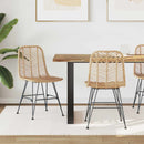 Spisestuestol 2 pcs Rattan og Jern Naturfarvet