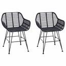 Spisestuestol 2 pcs Rattan og Jern Sort 55 x 50 x 74 cm