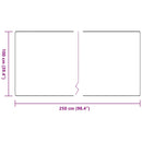 Tæppe Runner Lysegrå 100 x 250 cm 100% Polypropylen