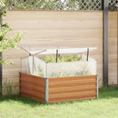 Haveplantekasse med drivhus Lys Brun 100 x 100 x 77 cm