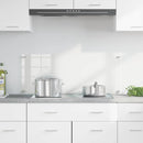 Køkkenbacksplash Transparent 100 x 40 cm hærdet glas