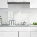 Køkkenbacksplash Transparent 100 x 50 cm hærdet glas