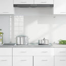 Køkkenbacksplash Transparent 100 x 60 cm hærdet glas
