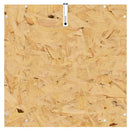 Terrarium Brun 40 x 40 x 40 cm OSB