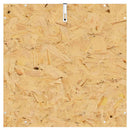 Terrarium Brun 50 x 50 x 80 cm OSB