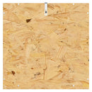 Terrarium Brun 50 x 50 x 80 cm OSB