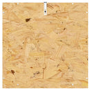 Terrarium Brun 50 x 50 x 100 cm OSB