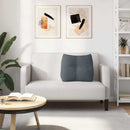 Rygpude Mørkegrå 60 x 24 x 50 cm Fløjl