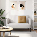 Rygpude Brun 50 x 45 cm Velourstof