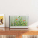 Akvarium med opbevaring Transparent 30 x 20 x 20 cm Glas