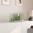 Akvarium med opbevaring Transparent 30 x 20 x 20 cm Glas