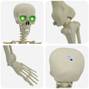 Halloween Skelet Hvid 155 x 38,5 cm Polypropylen