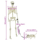 Halloween Dekoration Skelet 2 stk. Hvid 155 x 38.5 cm