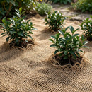 Jute opbevaringsmatte Naturfarvet 1,2 x 5 m