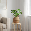 Plantekrukke med håndtag Naturfarvet Ø 22 x 20 cm 100% Søgræs