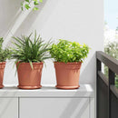 Rund Blomsterpotte 6 pcs Mursten Rød Ø 19 x 16 cm Plastik
