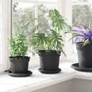 Rund Blomsterpotte 6 pcs Sort Ø 15 x 12 cm Plastik