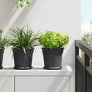 Rund Blomsterpotte 6 pcs Sort Ø 19 x 16 cm Plastik