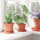 Rund Blomsterpotte 24 pcs Mursten Rød Ø 12,5 x 10 cm Plastik