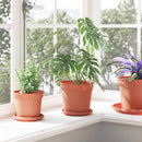 Rund Blomsterpotte 24 pcs Mursten Rød Ø 17 x 14 cm Plastik