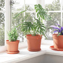 Rund Blomsterpotte 24 pcs Mursten Rød Ø 19 x 16 cm Plastik