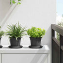 Rund Blomsterpotte 24 pcs Sort Ø 12,5 x 10 cm Plastik