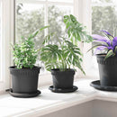 Rund Blomsterpotte 24 pcs Sort Ø 12,5 x 10 cm Plastik