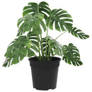 Rund Blomsterpotte 24 pcs Sort Ø 17 x 14 cm Plastik