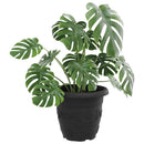 Rund Blomsterpotte 6 pcs Sort Ø 34 x 28 cm Plastik