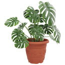 Rund Blomsterpotte 24 pcs Mursten Rød Ø 34 x 28 cm Plastik