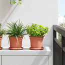 Rund Blomsterbakke 24 pcs Mursten Rød Ø 14 x 2 cm Plastik