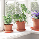 Rund Blomsterbakke 24 pcs Mursten Rød Ø 14 x 2 cm Plastik