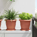 Rund Blomsterbakke 24 pcs Mursten Rød Ø 14 x 2 cm Plastik