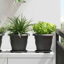Rund Blomsterbakke 24 pcs Sort Ø 17,5 x 2 cm Plastik