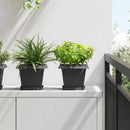 Firkantet Blomsterkrukke 6 pcs Sort 20 x 20 x 16 cm Plastik