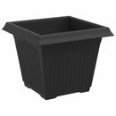 Firkantet Blomsterkrukke 6 pcs Sort 20 x 20 x 16 cm Plastik
